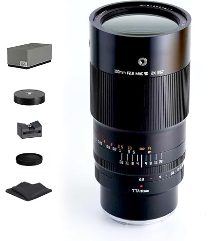 Canon EF 100mm F/2.8 Macro Lens : Amazon.ca: Electronics