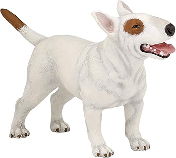 bull terrier and cats