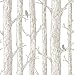 NuWallpaper NU2081 The Forest Peel & Stick Wallpaper 20.5