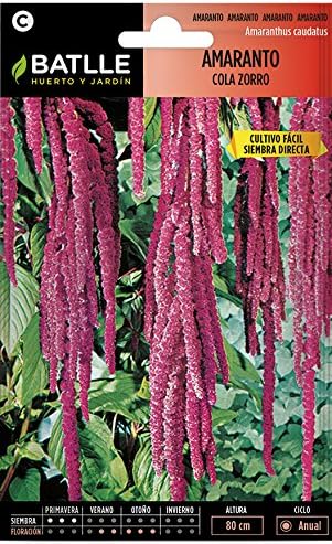 Semillas de Flores - Amarato cola de zorro - Batlle: Amazon.es: Jardín