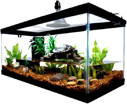 10 gallon reptile starter kit
