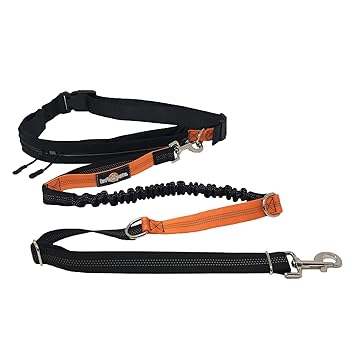 LetzPetz Joggingleine | Hüftleine | Laufgurt für Hunde | Laufleine | Freihandleine | Sportleine | Sport Hundeleine