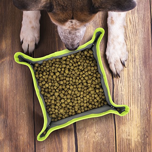 Collapsible Canvas Dog Bowl, Portable for Easy Travel, Foldable and Pocket Size for Running, Walking, Hiking, and Camping, Waterproof Lining Holds Food and Water and Includes Reflective Trim