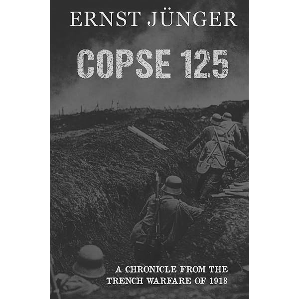 Amazon.com: Trench 1915: The Dawn of Modern Warfare: 9781961093102