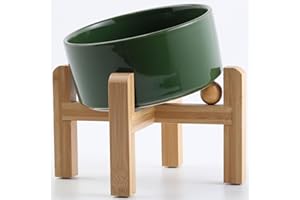 Petygooing Raised/Elevated 15°Slanted Ceramic Dog Bowl for Small Breeds,Tilted Anti Slip Pet Feeding Bowl,Food Water Dish with Stand for Cats and Small Dogs Puppy 13.5 OZ (5.1In / 1.7 Cups)Rust Green
