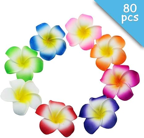 Winterworm 80 Pcs 70mm 3 7inch Mixed Color Sponge Hawaii Hawaiian