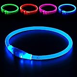 BSEEN LED Collar, USB Rechargeable, Glowing pet Collar for Night Safety, Fashion for Small Medium Large Dogs (Royal Blue)