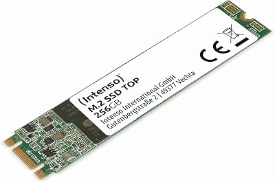 Intenso M.2 SSD SATA III Top 256GB 520MB/s Internal Solid State Drive