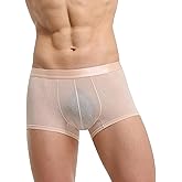 Evankin Men's Boxer Brief Underwear See Through Mesh Sexy and Fun Underpants Shorts Home Comfortable Lingerie