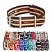 Clockwork Synergy® Classic Nylon Nato watch straps bands (18mm, Brown/Tan/Green/Red)