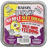 C&S Raisin Delight No Melt Suet Dough 11.75