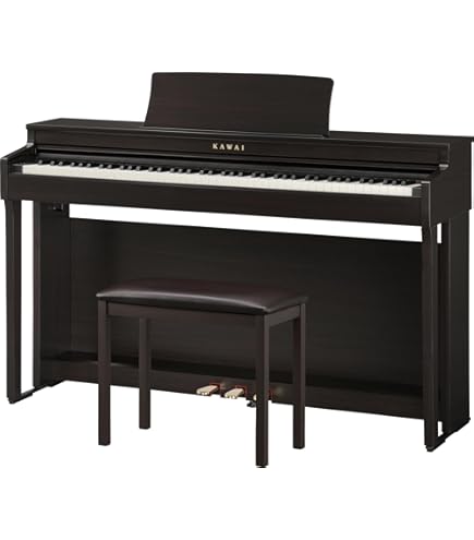 Amazon.com: Kawai CN201 Digital Piano - Premium Satin Black