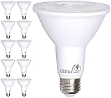 Bioluz LED 10 Pack PAR38 LED Light Bulb 90 CRI 12W
