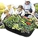 Pannow Fabric Raised Planting Bed, Garden Grow Bags Herb Flower Vegetable Plants Bed Rectangle Planter for Plants Flowers and Vegetables (2ft x 4ft)