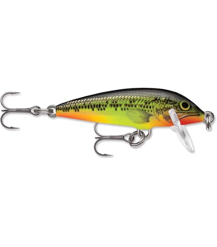 Amazon.com: Rapala Countdown Elite CDE55 GDAY Gildan Ayu : Sports