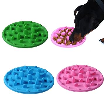 Goofy Tails Slow Eating Feeder Food Bowl for Dog & Cats,24 x 18 x 3 cm(Color May Vary)