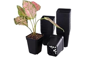 Tulpeed 50 Packs Square Nursery Pots for Plants 2.2 Inch Succulent Plant Pots Set Plastic Seedling Starting Pots with Drainage Holes Nursery Pots Variety Pack Flower pots Planter Seed Starter, Black