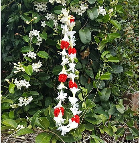 Silk Carnation and Tuberose Lei - Silk Carnation Lei - Silk Tuberose Lei - Hawaiian Lei - Hawaiian Flower Lei - Hawaiian Wedding Lei - Hawaiian Party Lei - Graduation Lei - Tropical Lei (Red)