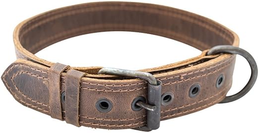 rustic leather dog collar