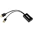 Cable Matters Gold Plated HDMI to DisplayPort Converter in Black