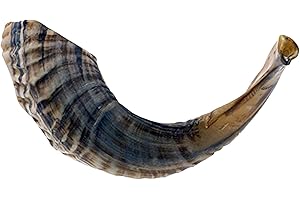 KOSHER ODORLESS NATURAL SHOFAR | Genuine Rams Horn | Smooth Mouthpiece for Easy Blowing | Includes Velvet like Drawstring Bag