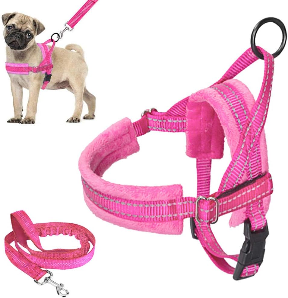 Eyein Small Dog Harness & Lead