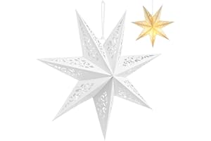 LIOOBO Paper Star Lanterns: Hollow Hanging Lampshade, Star Light Cover, Lantern Pendant for Christmas Birthday Wedding Home Party 17.7 Inch 1PC