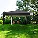 Quictent Silvox 10x10 EZ Pop Up Canopy Tent Instant Folding Gazebo Outdoor with 4 Sidewalls &Roller Bag Waterproof (Black)