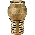 1" BSP European Thread Female Check Foot Valve Suction Brass Non Return Valve for Pump