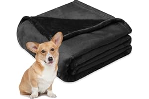 Gorgelly Large Dog Blanket-30 x 40" Soft Fleece Dog Blanket for Large Dog Washable, Cyan Color Warm Pet Hair-Resistant Throw Blanket for Bed, Couch, Car, Furniture Protect Cover