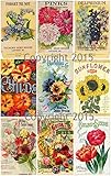 Victorian Vintage Seed Pack Flowers Large Collage Sheet #104, Scrapbooking, Decoupage, Labels, Altered Art