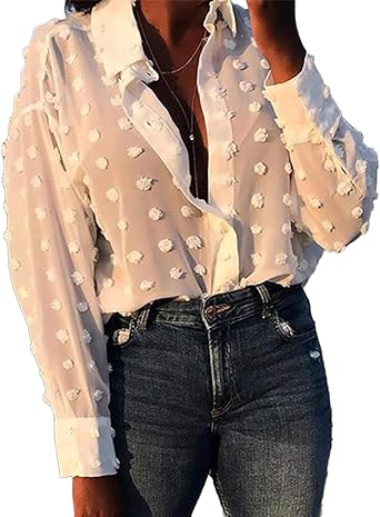 sheer chiffon long sleeve blouse
