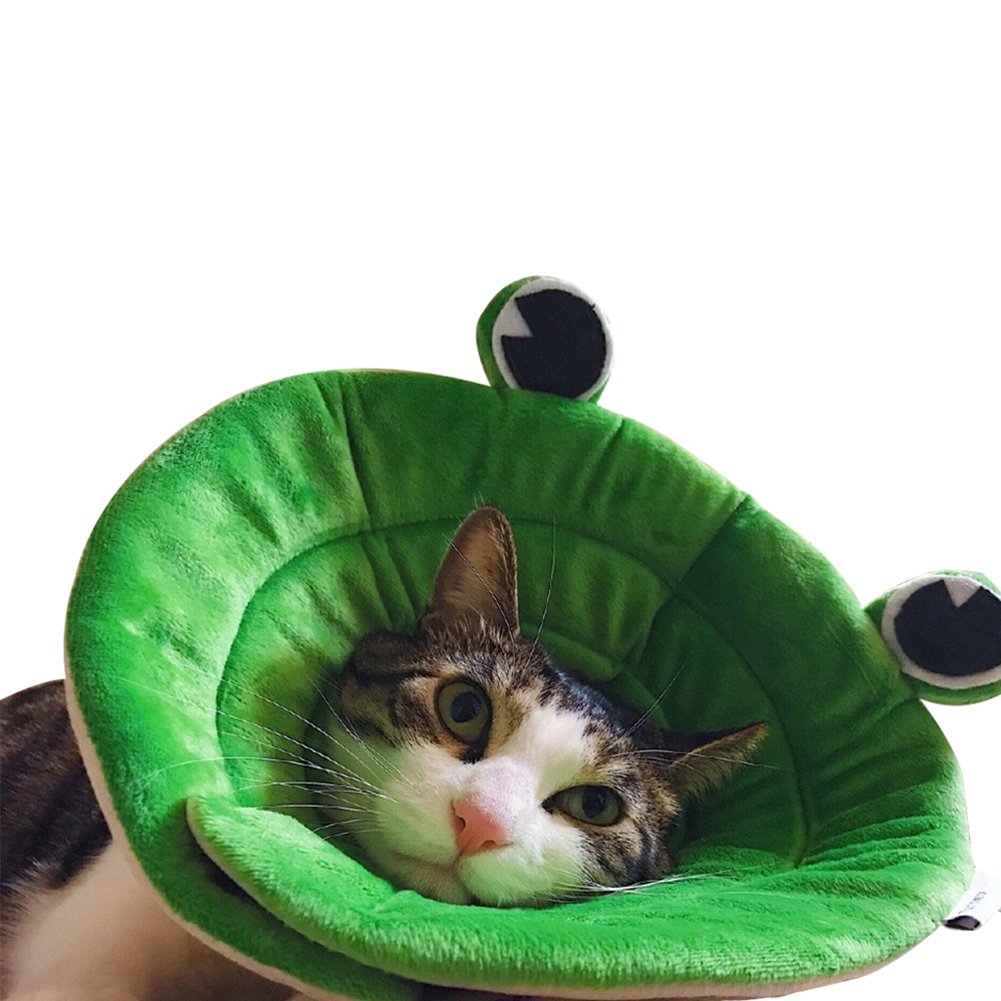 ストレスで猫がハゲちゃった やっぱり溜めるってよくないよね たのしすたんと