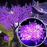 Autolizer 100 LED PURPLE Fairy String Lights Lamp for Xmas Tree Holiday Wedding Party Decoration Halloween Showcase Displays Restaurant or Bar and Home Garden - Control up to 8 modes