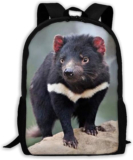 Amazon Co Jp Jifhs タスマニアンデビル バックパック トラベルバッグ カレッジスクールデイパック レディース ガールズ 学生用 One Size ブラック Jifhs5h4 Home Kitchen