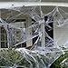 DAZONGE Fake Spider Web (32 Extra Spiders) for DIY Halloween Decorations Indoor/Outdoor