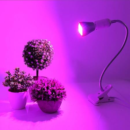 Plante Lampe Uv Interieur Spectre 30w Led Plant Grow Ampoule Fitolampy Phyto Lampe Pour Jardin Interieur Plantes Fleur Amazon Fr Jardin
