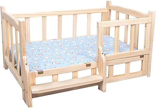 chewy raised dog bed