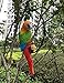 Ruerlity Hanging Parrot Statue Sculpture On Ring Lawn Ideal Decor for Patio Home and Garden