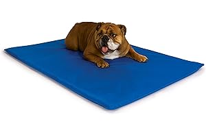 K&H Pet Products Cool Bed III Dog Cooling Mat, Cooling Dog Beds for Medium Dogs, Dog Cooling Mat for Dog Carrier, Outdoor Dog Bed Cooling Pad for Dog, Pet Cooling Mat - Blue Medium 22 X 32 Inches