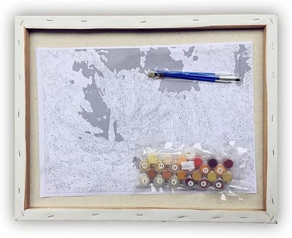 Amazon.com: Paint By Numbers Kit DIY Digital Oil Painting Coloring on