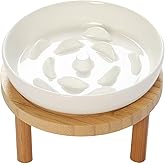Raised Slow Feeder Cat Bowl, 5.9 Inch Wide Shallow Ceramic Elevated Glass Food Bowl Puzzle Feeders, Anti Vomit Cat Dish, Whis