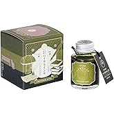 Teranishi Chemical Industry TRH-40ML-T70 Taisho Roman Hi-Color Ink Emotional Olive Guitar