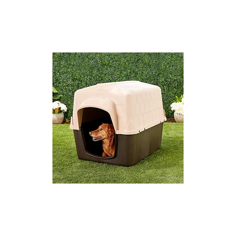 electric dog fence petbarn