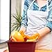 Ramddy 12 Quart Plastic Dishpan/Basin, 14