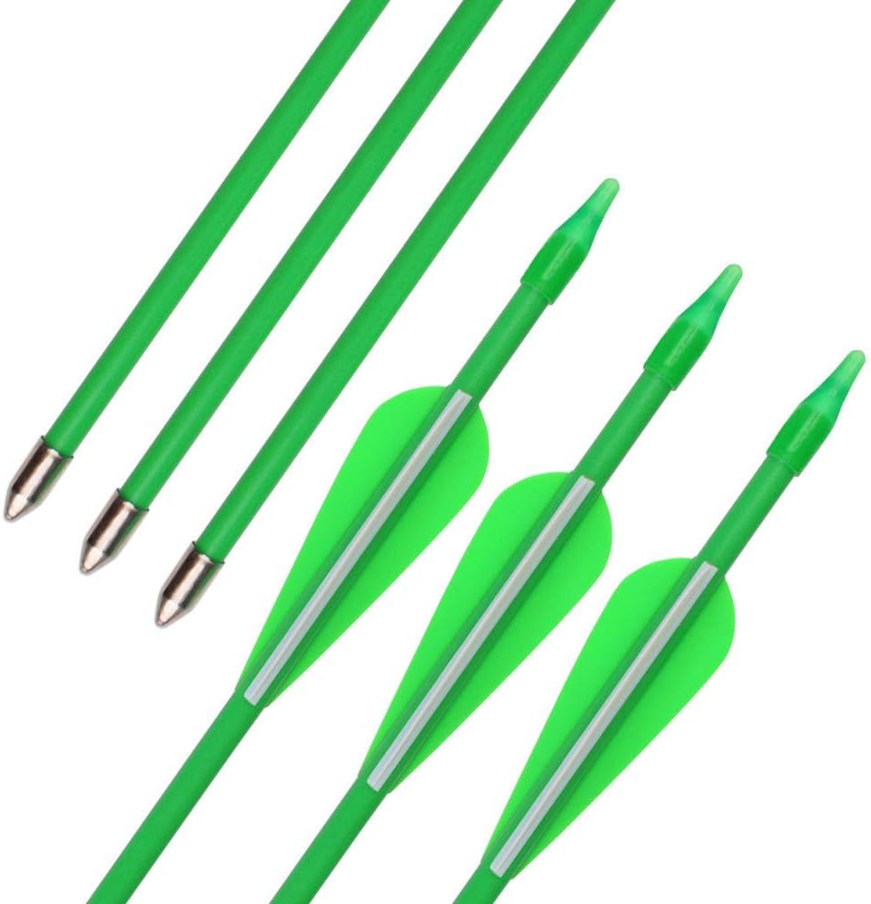 GPP 28" Fiberglass Archery Target Arrows - Practice Arrows or Youth Arrows for Recurve Bow- 12 Pack : Sports & Outdoors