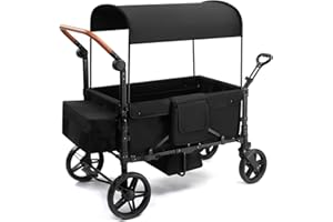 SAFETY CAREYA Stroller Wagon for 4 Kids, Foldable Wagon with Footwell, Lightweight, Adjustable Push and Pull Handles, 5-Point Harness, Adjustable Canopy for Outdoor Adventures (Black)