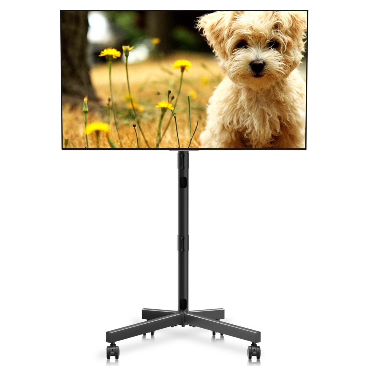 Photo 1 of XINLEI Mobile TV Stand with Wheels for Most 21-60 Inch Flat/Curved Screens TVs, Height Adjustable Rolling TV Cart, up to 77 lbs, Max VESA 400x400, ML55SE