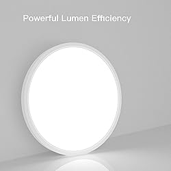 TALOYA Dimmable Flush Mount Ceiling