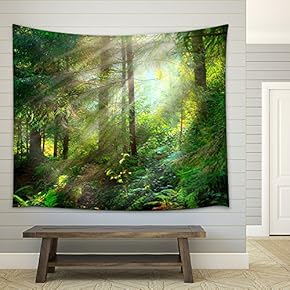 Park. Beautiful Misty Old Forest - Fabric Wall Tapestry Home Decor - 51x60 inches